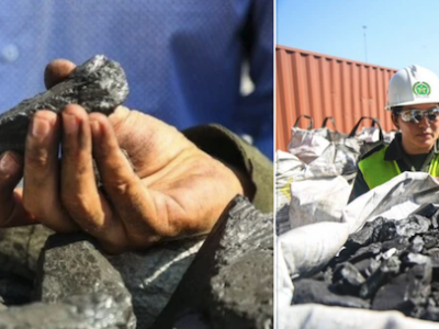 West P&I: Smugglers are Hiding Cocaine in Cargoes of Coal